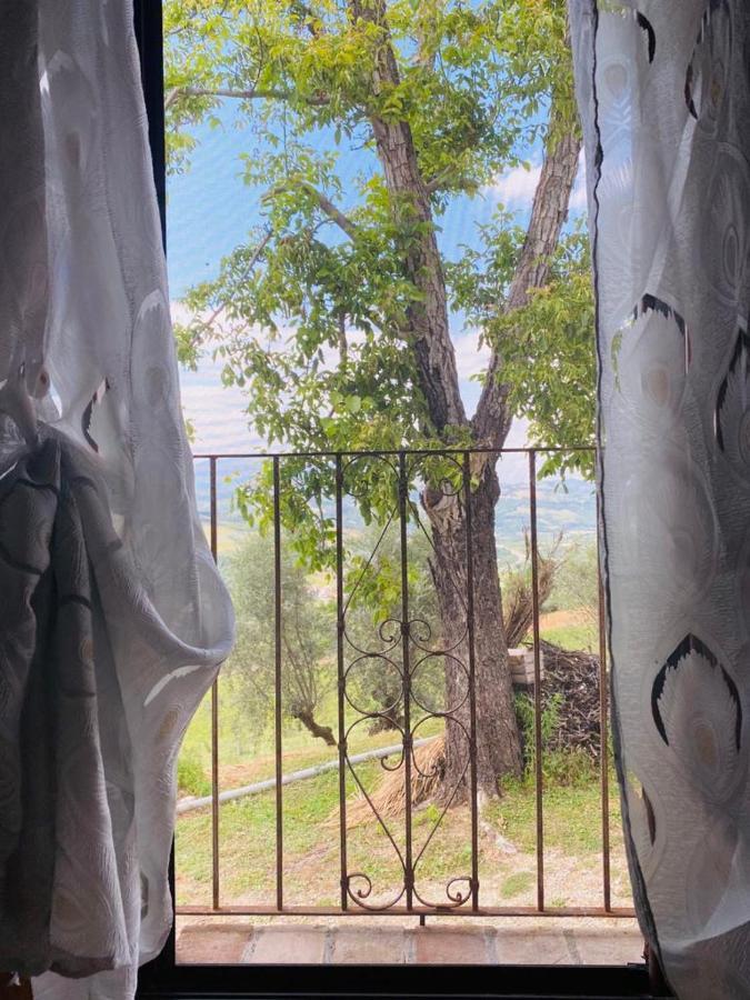 Agriturismo Flara Basciano Bagian luar foto